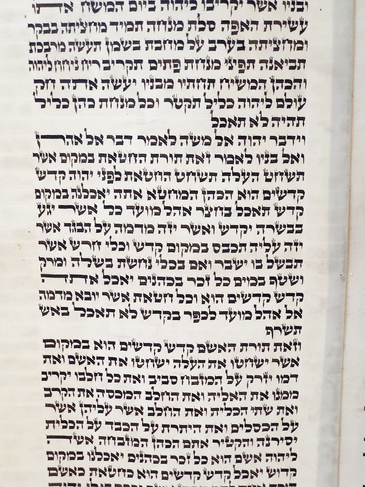 תמונה של ספר תורה