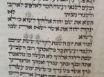 Picture of ספר תורה