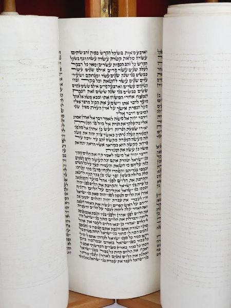 Picture of ספר תורה