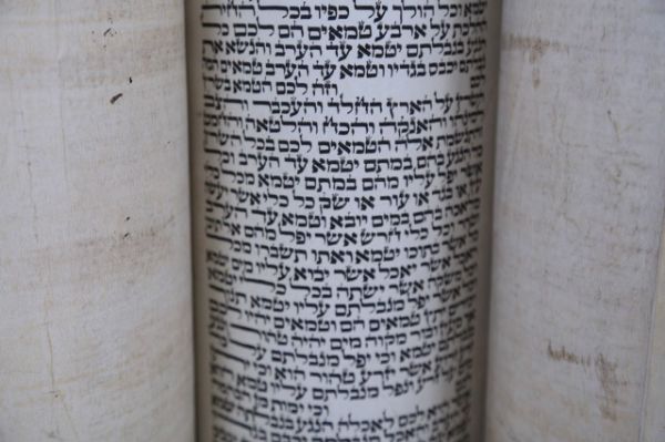 Picture of Torah scroll 