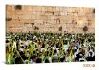 Picture of Kiryat Moed