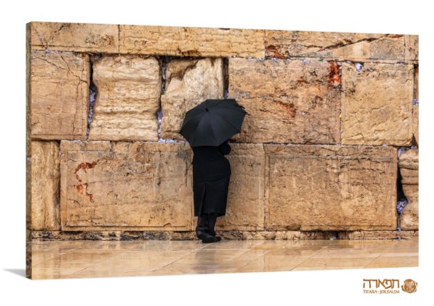 תמונה של "תפילת טל"