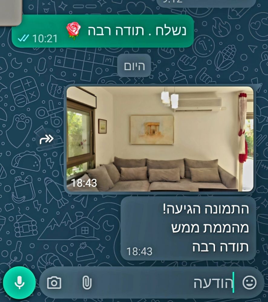 המלצה 12