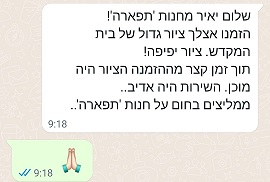 המלצה 2