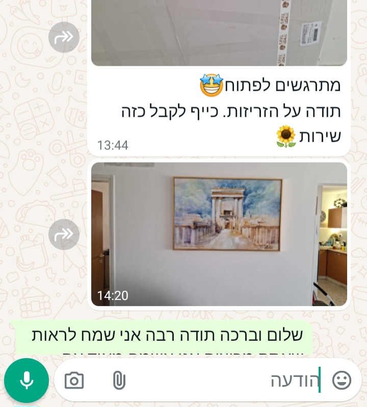 המלצה 6